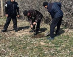 Жаңару күні 19.03.26ж