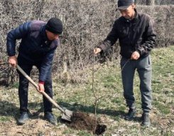 Жаңару күні 19.03.26ж