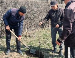 Жаңару күні 19.03.26ж